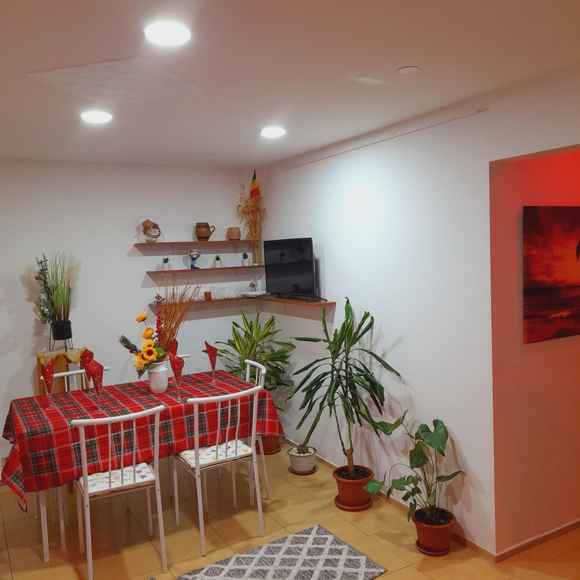 Apartment Boulevard Cetate アルバ・ユリア 部屋 写真