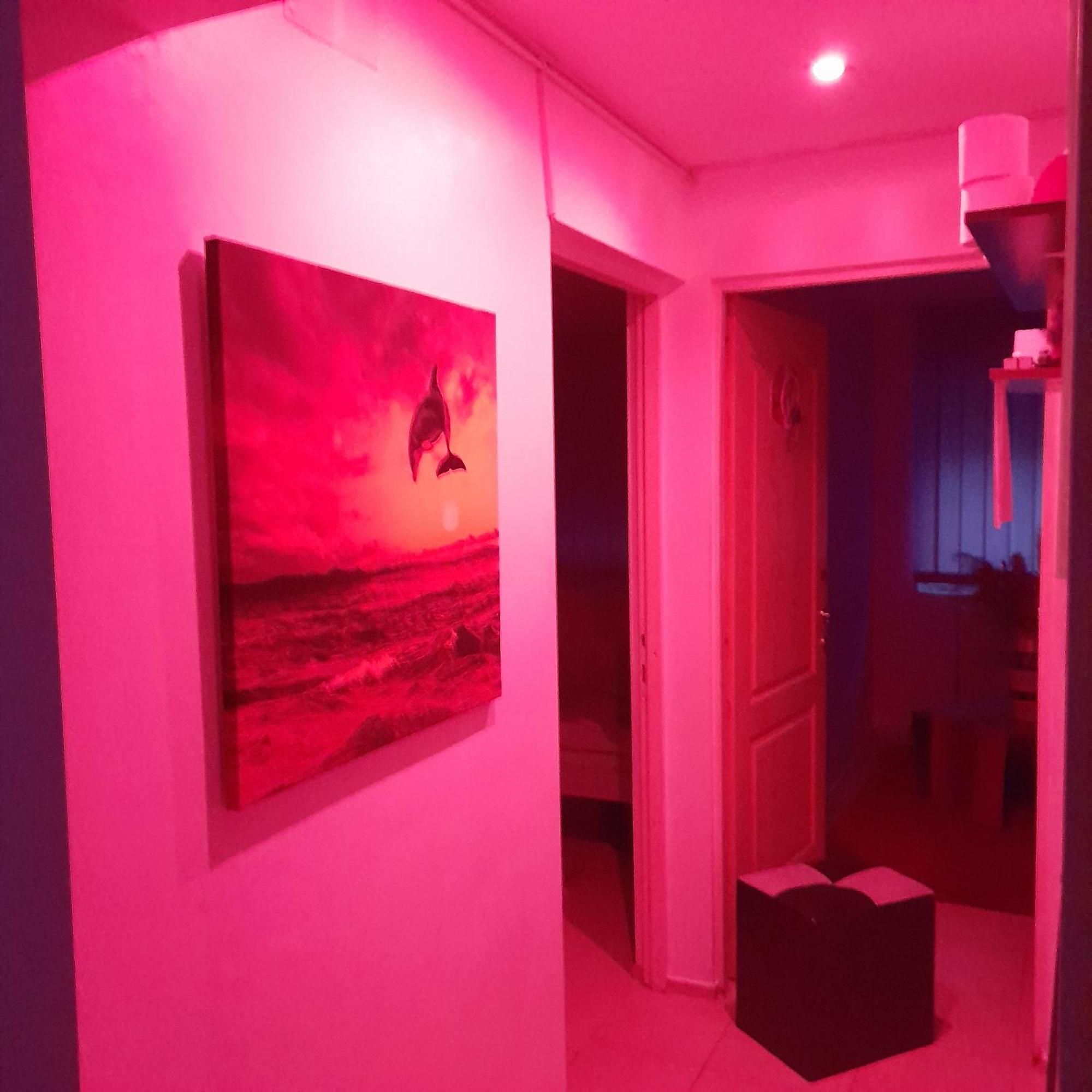 Apartment Boulevard Cetate アルバ・ユリア エクステリア 写真