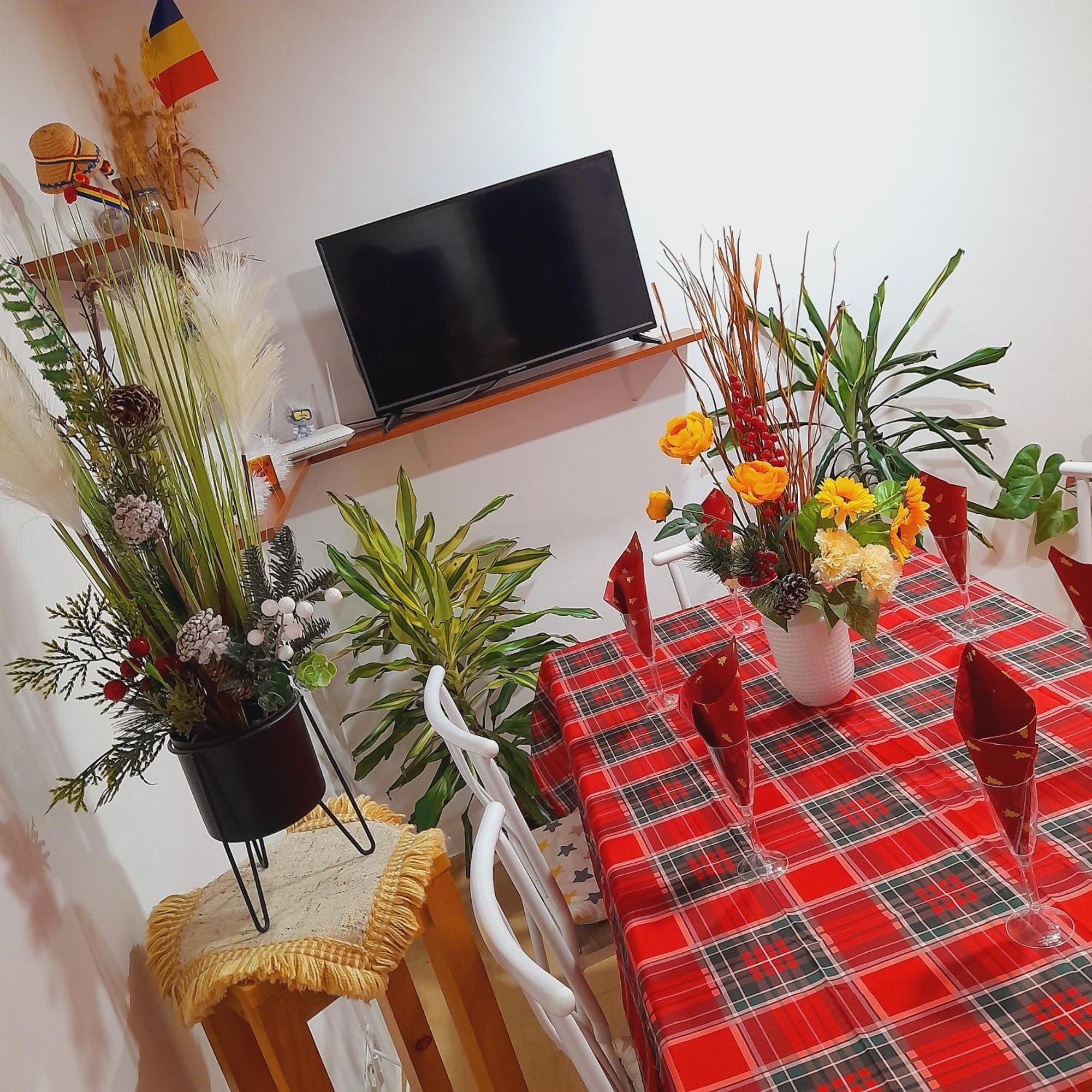 Apartment Boulevard Cetate アルバ・ユリア 部屋 写真